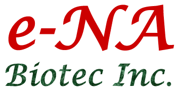 株式会社 e-NA Biotec